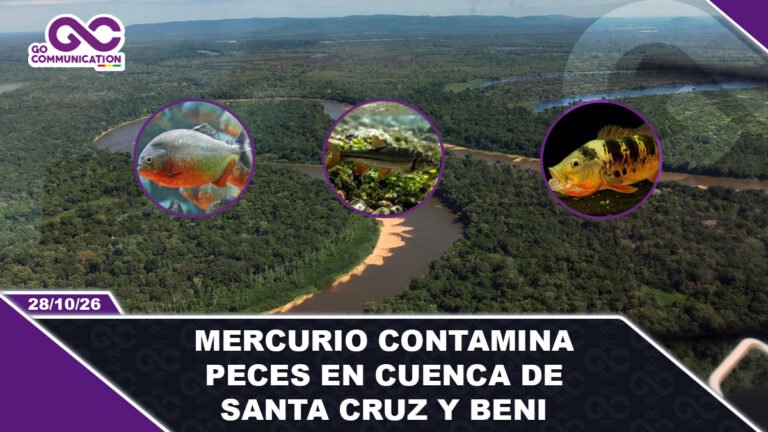 Mercurio contamina peces en cuenca de Santa Cruz y Beni