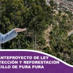 Presentan anteproyecto de ley para la protección y reforestación del Bosquecillo de Pura Pura