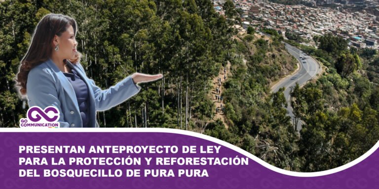 Presentan anteproyecto de ley para la protección y reforestación del Bosquecillo de Pura Pura