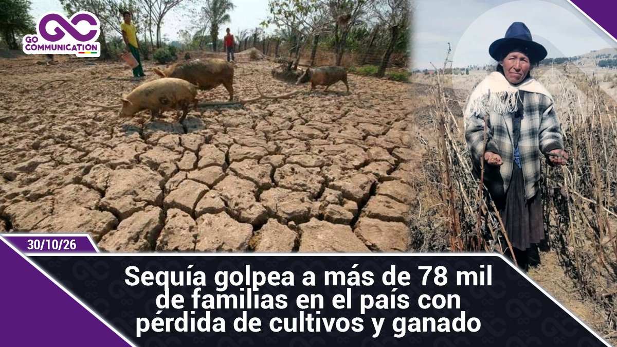 Sequía golpea a más de 78 mil de familias en el país con pérdida de cultivos y ganado