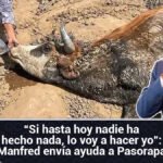 Si hasta hoy nadie ha hecho nada, lo voy a hacer yo Manfred envía ayuda a Pasorapa